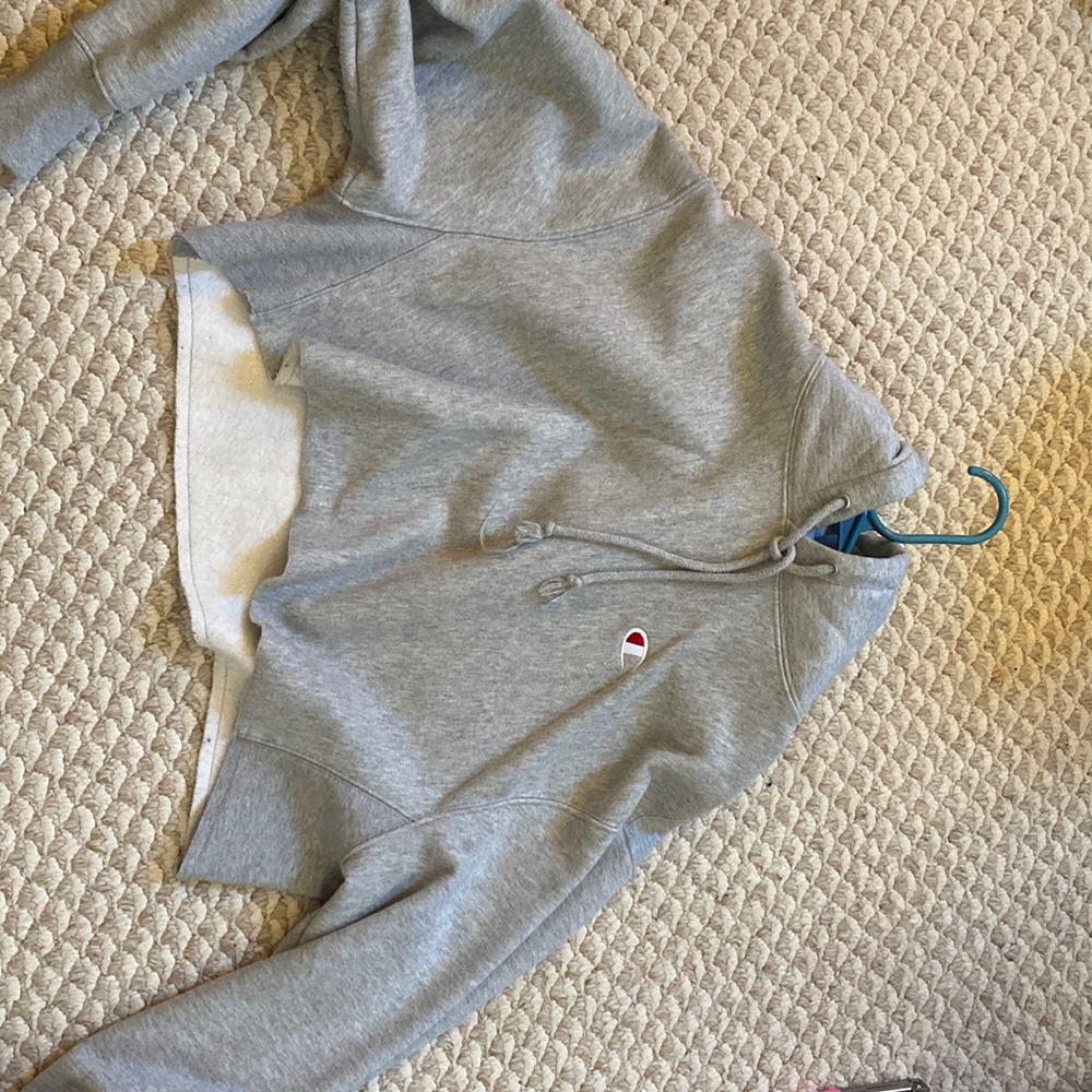Cropped champion hoodie